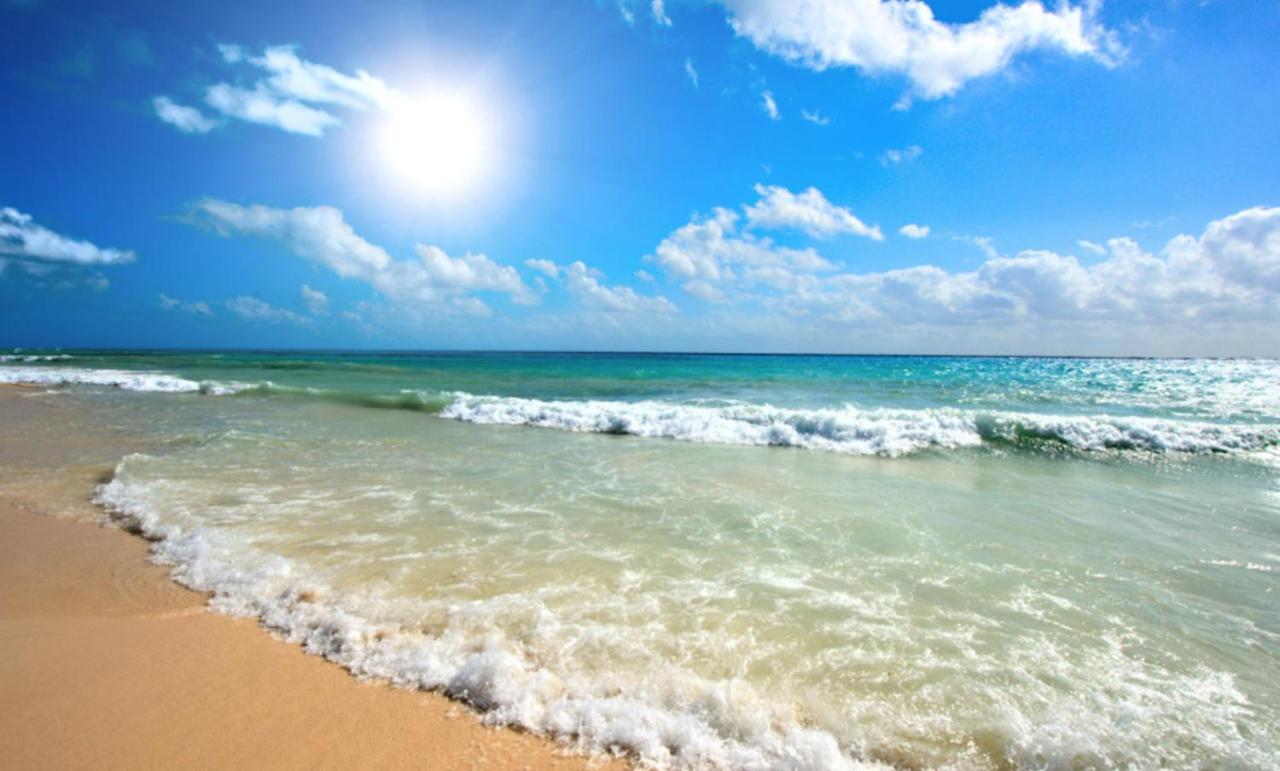 Admiral Plaza A 11 Apartment Sunny Beach Buitenkant foto